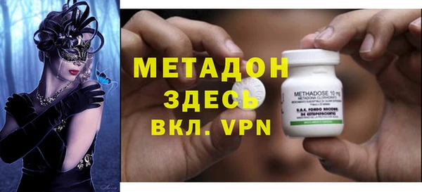 сатива Инта