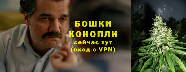 стафф Каменск-Шахтинский