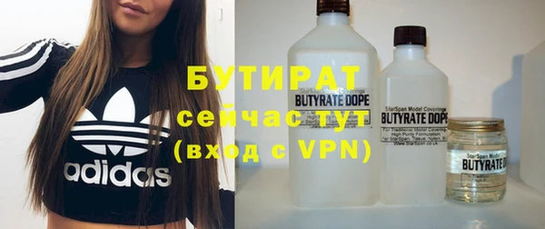 сатива Инта