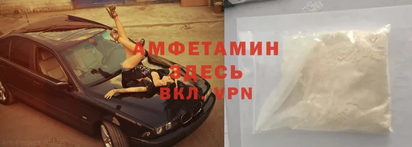 сатива Инта