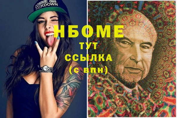 сатива Инта