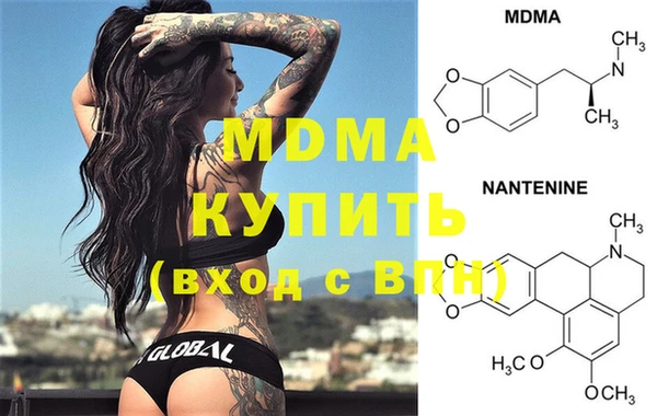 сатива Инта