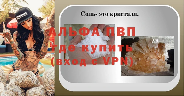 твердый Иннополис