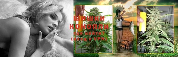 сатива Инта