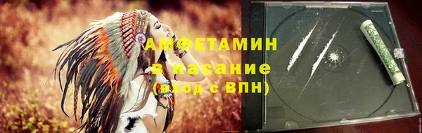 сатива Инта